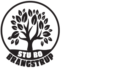 Bo Brangstrup logo