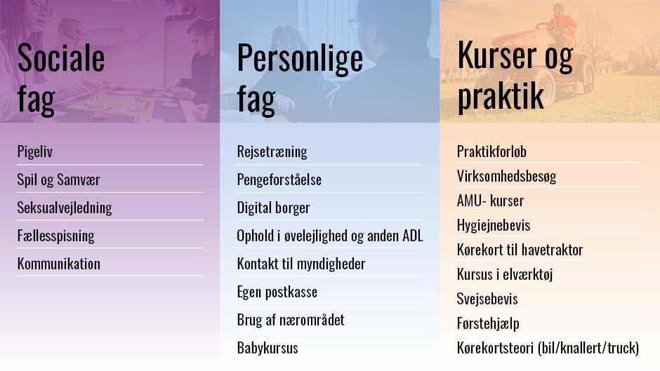Oversigt over fag. Sociale fag: Pigeliv Spil og Samvær Seksualvejledning  Fællesspisning Kommunikation. Personlige fag: Rejsetræning  Pengeforståelse Digital borger Ophold i øvelejlighed og anden ADL Kontakt til myndigheder  Egen postkasse  Brug af nærområdet Babykursus. Kurser og praktik: Praktikforløb Virksomhedsbesøg  AMU- kurser Hygiejnebevis Kørekort til havetraktor Kursus i elværktøj  Svejsebevis Førstehjælp Kørekortsteori (bil/knallert/truck).