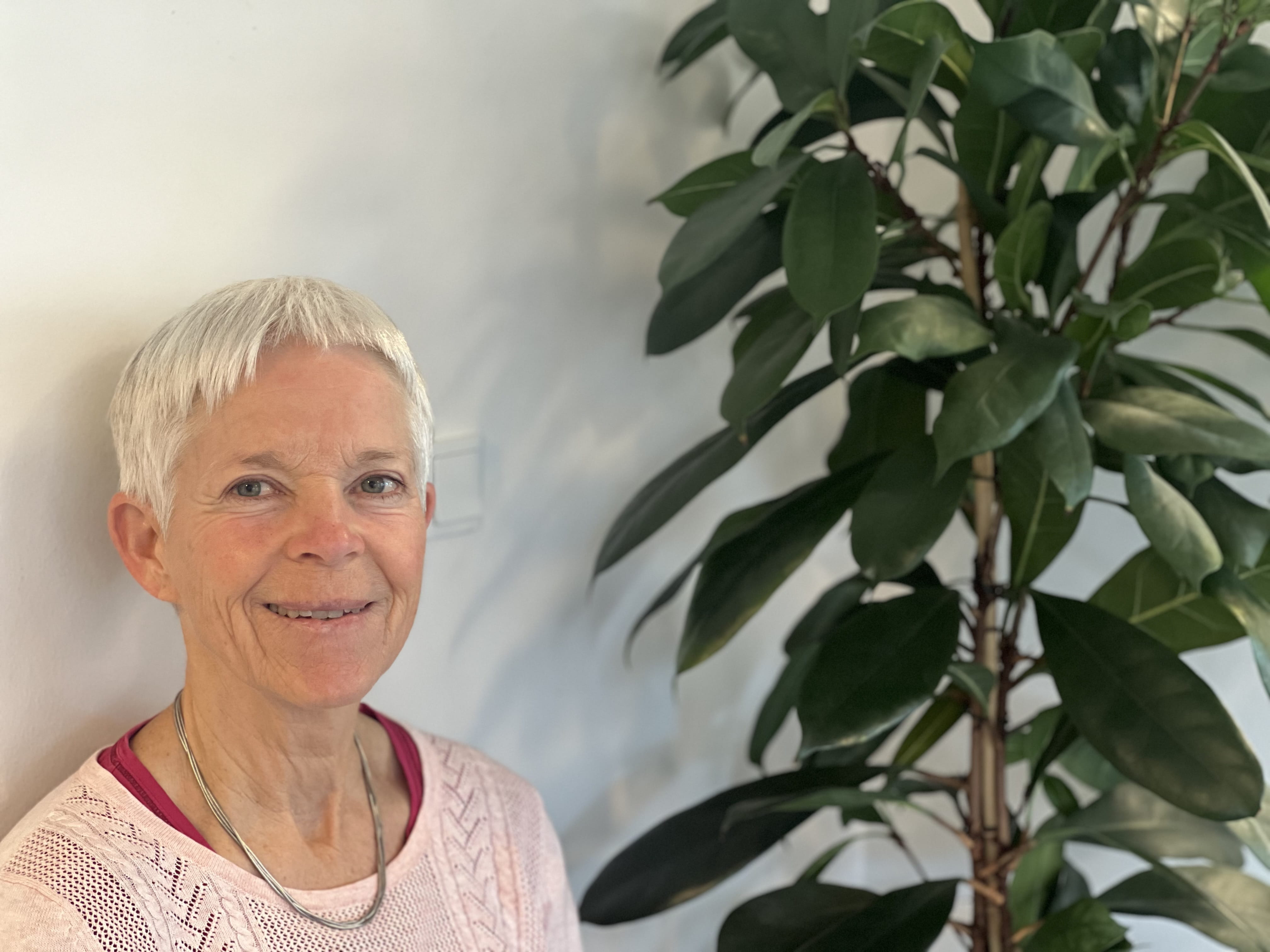 Det Hjælpsomme Hjem