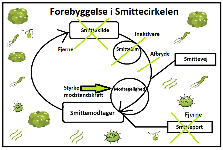 Billede af smittecirkel forebyggelse