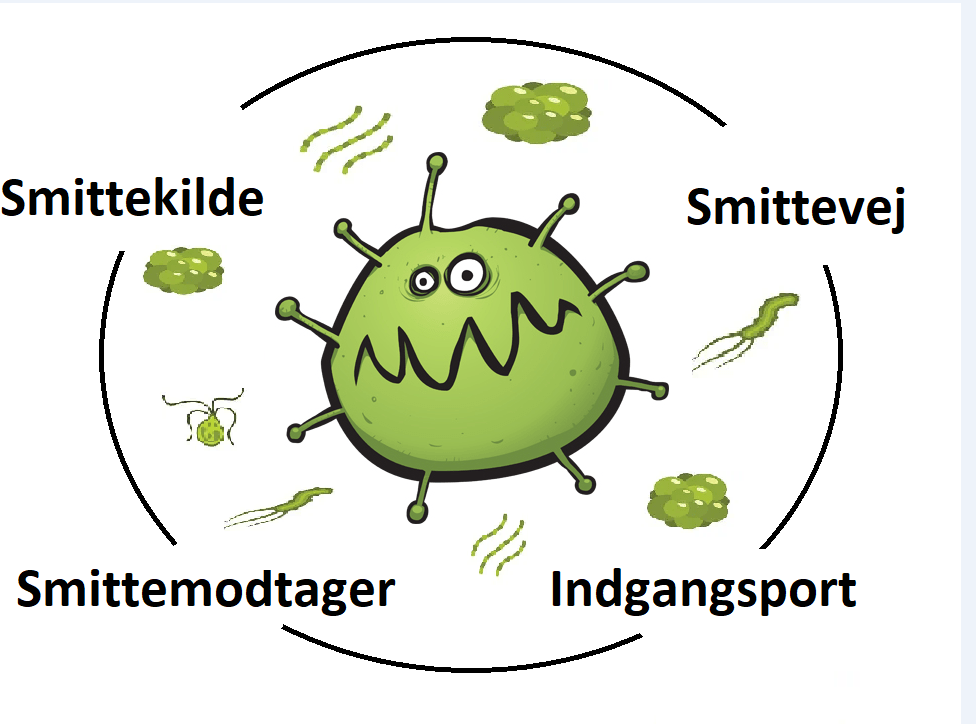 Billede af smittevej