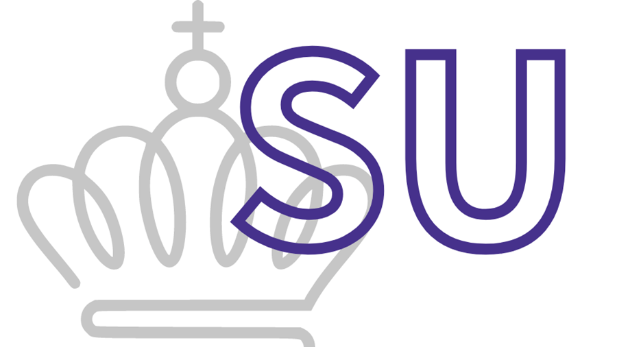 Statens uddannelsesstøtte