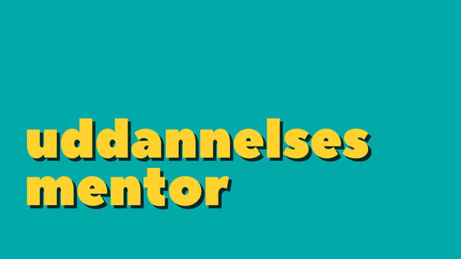 uddannelsesmentor
