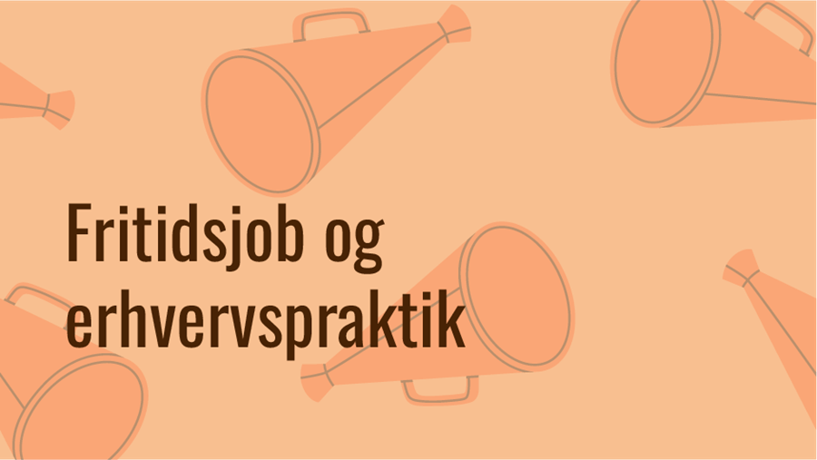 Fritidsjob og erhvervspraktik