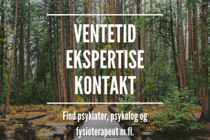 Her finder du oversigt over behandlere og deres ventetider