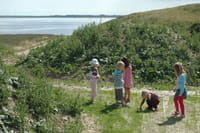 Børn leger på Legebasen på Stige Ø.