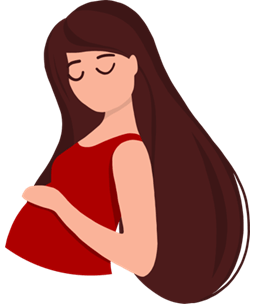 Gravid illustration