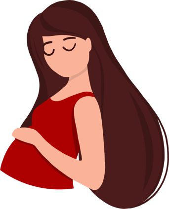 Gravid illustration