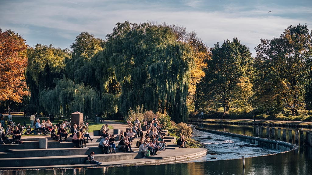 Munkemose i efteråret 