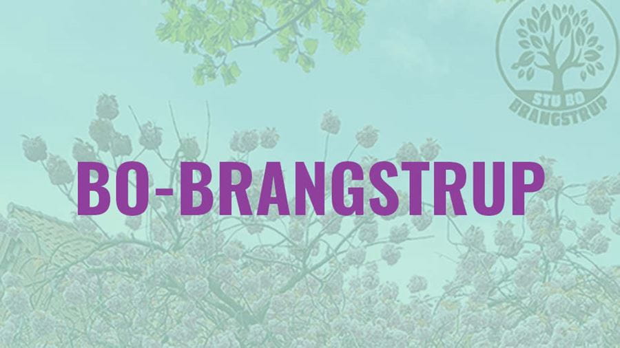 Bo-Brangstrup