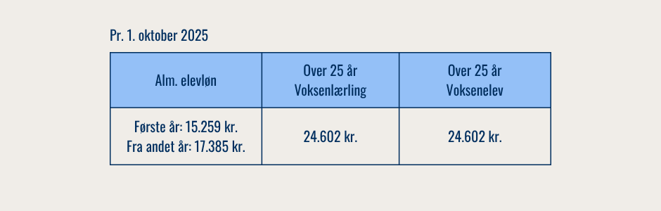 Elevløn: 15.259 kr, 2. år og frem 17.385 kr. Voksenelev og voksenlærling: 24.602 kr.